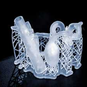 SLA Image