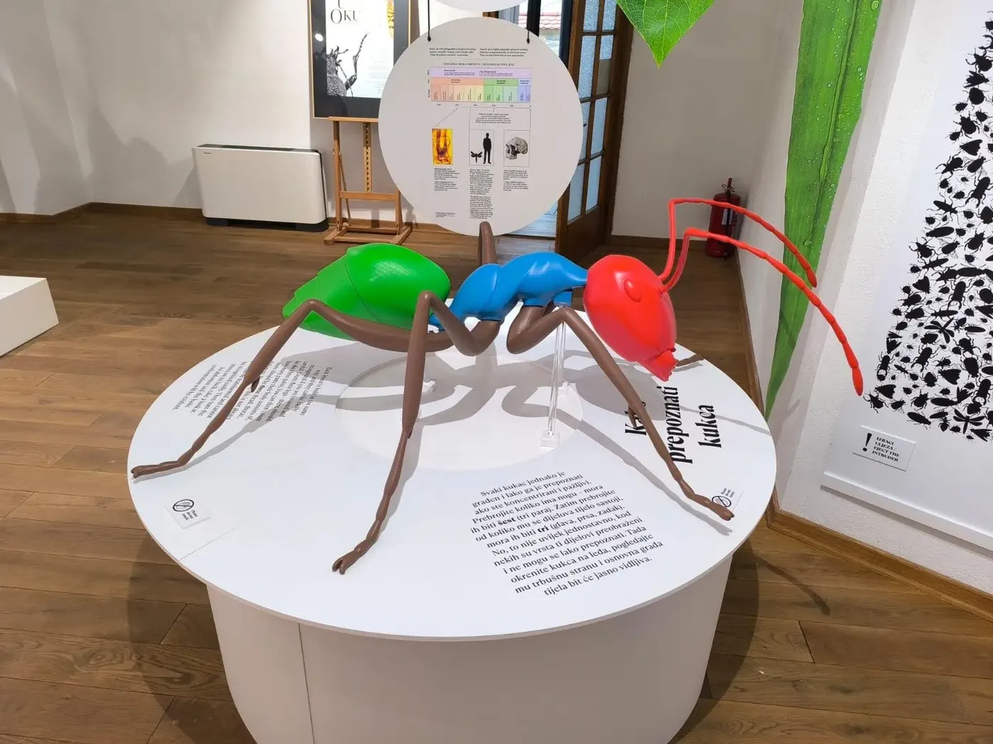 3D Printed Exhibition Models & Display Models